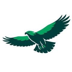 Fototapeta premium Sleek soaring hawk with wide wingspan