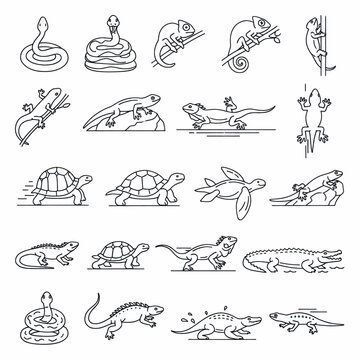 Collection of stylized line art icons representing various reptiles and amphibians in different poses and environments.