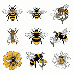 Collection of stylized illustrations of bees and flowers, showcasing different species and their interaction with blossoms. © adobe