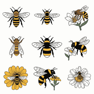 Collection of stylized illustrations of bees and flowers, showcasing different species and their interaction with blossoms.