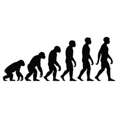 Obraz premium human evolution diagram in black silhouette on white background