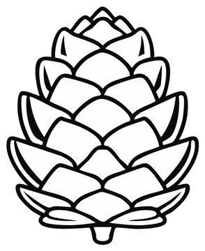 Stylized black and white outline drawing of a pinecone with layered scales