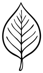 Fototapeta premium Botanical Leaf Outline Illustration Single Leaf Design Organic Shape Natural Element Art Creative Project