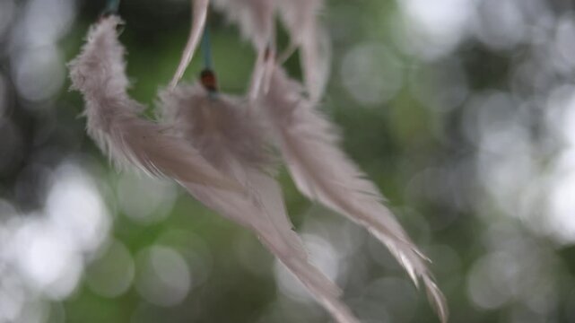 Dreamcatcher on nature so beautiful. Dream catchers blow.
