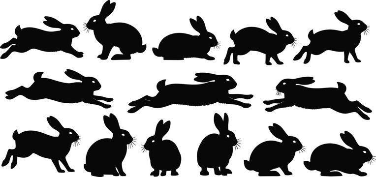 Set of Various Rabbit Silhouettes in Different Poses for Animal, Nature, and Easter-Themed Designs