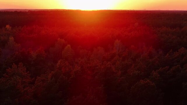 Aerial Poland forest to lake bold red sunset 1. Northern Poland. Springtime season, brilliant colorful sunset over, trails, rivers and lakes. Nature landscape nature. Outdoor recreation. Parks forest.
