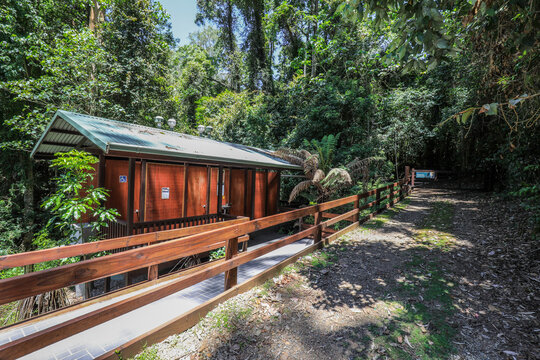 Rest area and bathroom facilities at Copeland Tops in New South Wales, Australia. Outdoor recreation area featuring amenities within forest environment
