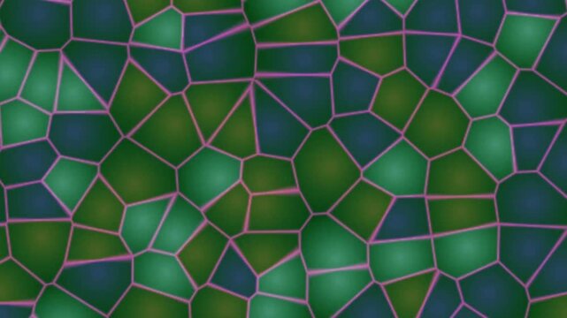 An abstract graphic design consisting of a collection of interlocking irregular polygons (like cells or mosaic tiles).
