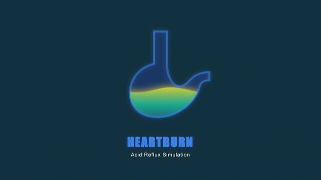 Medical animation showing acid reflux simulation with stomach acid rising into the esophagus to represent heartburn