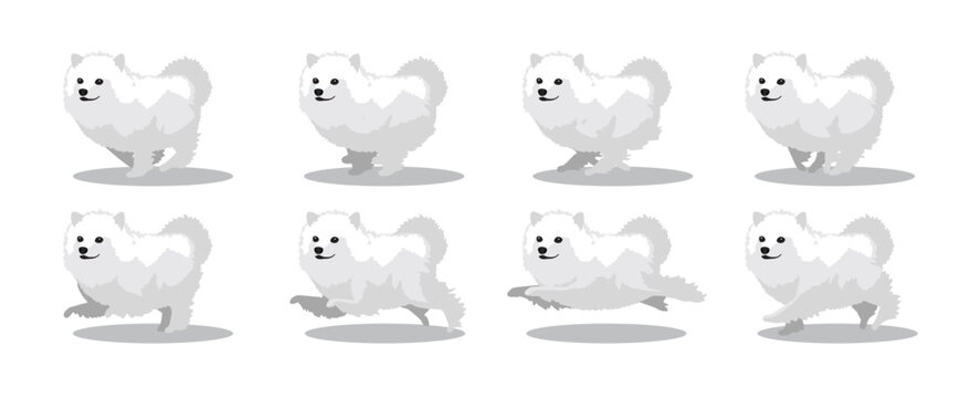 American Eskimo Dog Running Side Cartoon Animation Frame Vector