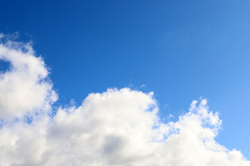 Fototapeta premium Blue sky background with white cloud