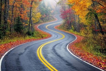 Fototapeta premium Winding Country Road Through Misty Autumn Forest with Colorful Leaves