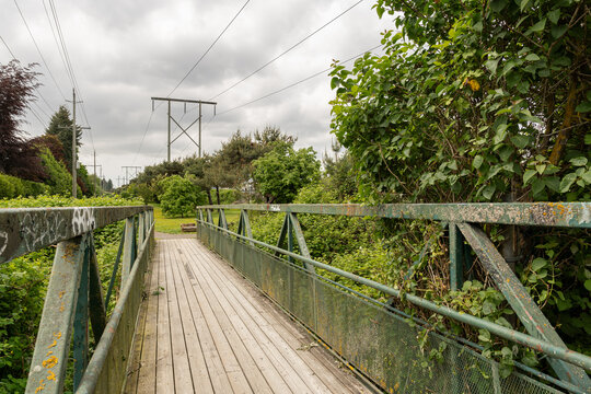 Bath Slough Trail nature view with green trees and cloudy sky
