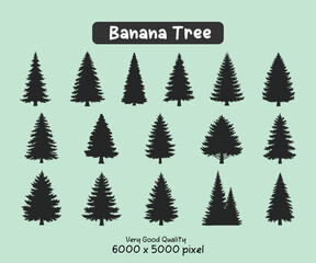 Obraz premium Coniferous Pine and Fir Tree Silhouette Collection