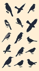 Fototapeta premium Set of dark bird silhouettes depicting various species like songbirds and crows in poses such as flying, perching on branches, and standing, isolated on a neutral cream background.