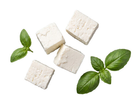 Four perfect cubes of creamy white feta cheese paired with two fresh sprigs of aromatic basil on a transparent.