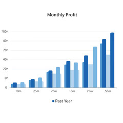 Fototapeta premium A bar graph showing monthly profit data