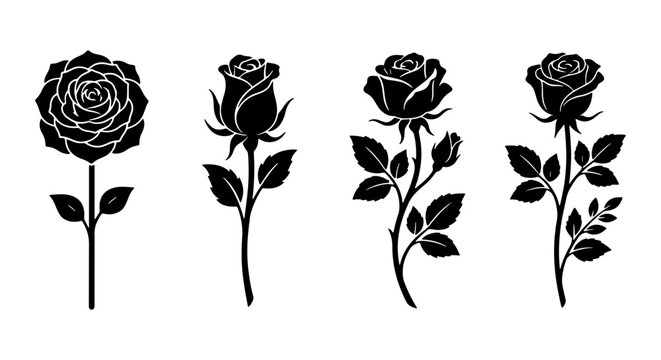 Detailed Rose Flower Silhouettes Set with Elegant Long Stems and Decorative Botanical Leaves