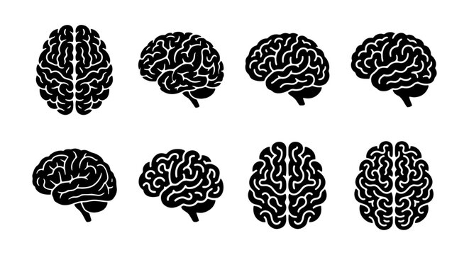 Brain Anatomy Vector Icons Set, Neural Network Graphics, Medical Science Illustrations, Cognitive Function Symbols, Human Mind Representation