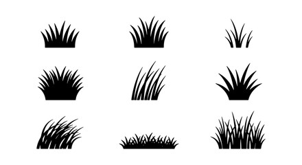 Grass Clumps Vector Icons, Silhouette Vegetation Elements, Natural Greenery Shapes for Landscape Design and Garden Concepts © Enamul