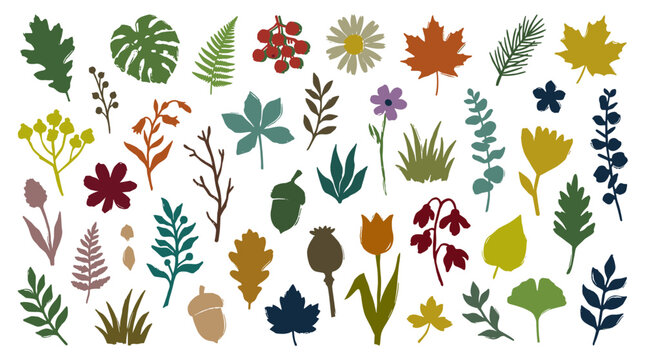 Collection of stylized botanical illustrations featuring leaves flowers and seeds in a variety of natural colors and shapes for seasonal design elements