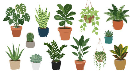 Obraz premium Collection of various potted houseplants including monstera snake plant fiddle leaf fig cactus and succulents isolated on white background