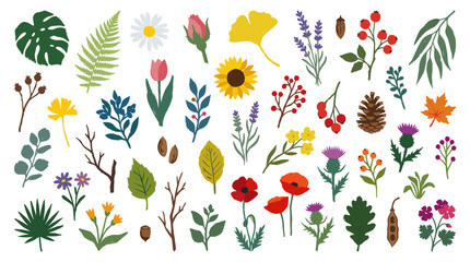 Obraz premium Vibrant collection of diverse botanical elements including leaves flowers and seed pods in a flat design style