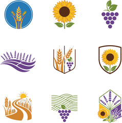 Obraz premium Agricultural icons with wheat and grapes.