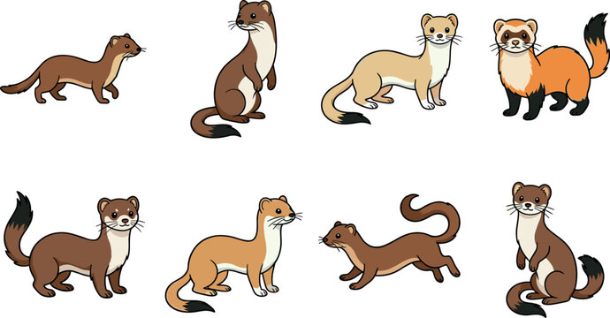 Set of Cute Ferret Vector Illustrations in Different Poses for Animal, Wildlife, and Nature Designs
