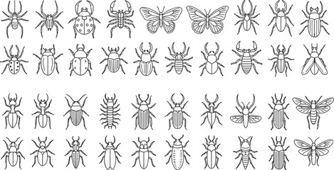 Vintage Hand Drawn Entomology Insects Set Various Beetles Moths and Arachnids © MdMojnu