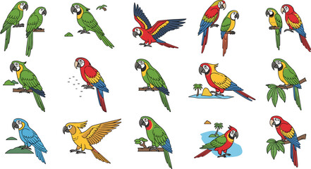 Parrot species and poses vector set with colorful macaws and tropical birds in various positions for wildlife illustration and nature design © AntarChandra