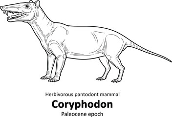 Fototapeta premium Coryphodon prehistoric mammal extinct animal drawing.