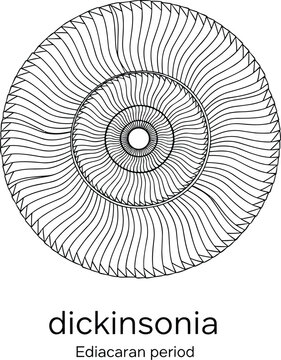 Dickinsonia Ediacaran period organism spiral pattern.
