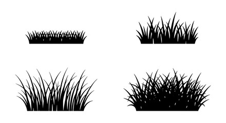 Collection of Grass Tuft Silhouettes and Wild Meadow Lawn Vector Elements © Sirajul