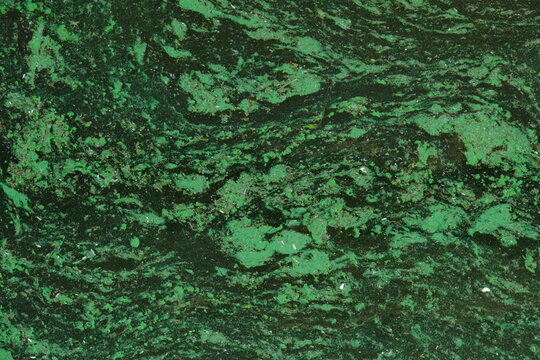 Extreme water pollution with thick green algae bloom on the surface, environmental crisis and toxic wastewater background.