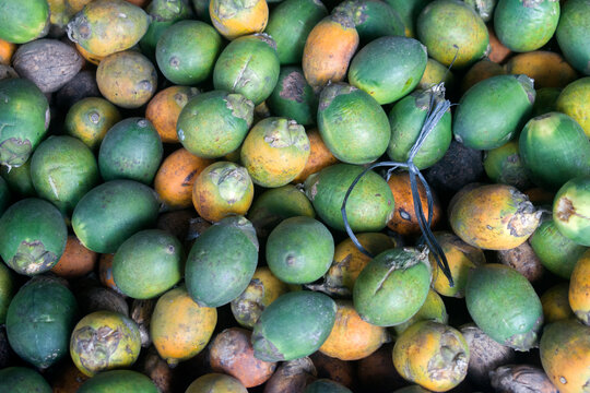 Fresh Areca catechu betel nuts pile in tropical market display texture.