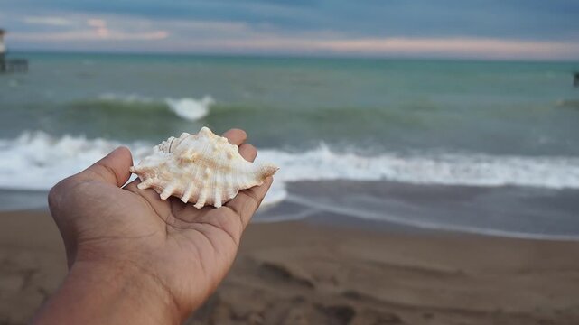 Shell collection on the beach at sunset