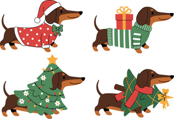 Fototapeta premium Four Adorable Dachshund Dogs Wearing Christmas Costumes Santa Hat Sweater Tree Outfit and Gift Box Vector Set
