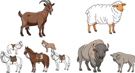Farm and wild animals collection including goat, sheep, horses and bison, detailed livestock and wildlife vector illustration set © MatRukshana