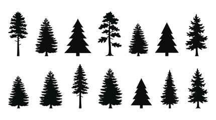 Obraz premium Set of black silhouettes of coniferous trees, pine, spruce, fir, cedar, evergreen trees