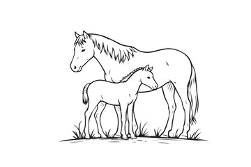 Fototapeta premium black horse vector illustration