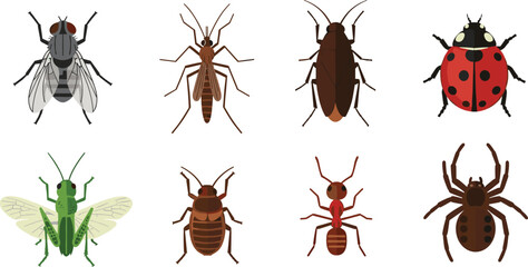 Insect collection vector illustration, fly mosquito cockroach ladybug grasshopper ant spider icons, colorful bug set isolated on white background design © bipul stok