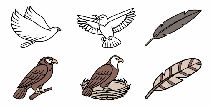 a collection of hawks and feathers Vector