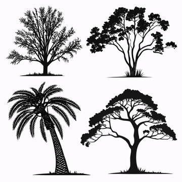 four different types of trees in black silhouette Vector