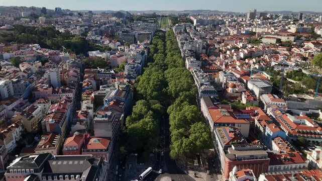 Aerial view of Avenida da Liberdade with its lush green trees and historic architecture under a clear blue sky in Lisboa, Lisboa, Portugal.