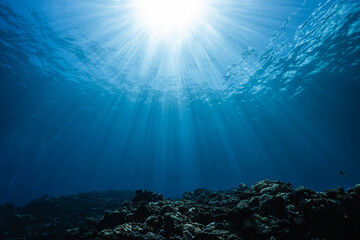 Naklejka premium Bright Sunlight Streaming Into Deep Blue Underwater Scene