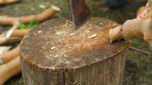 Chopping tree branches with axe close-up slow motion