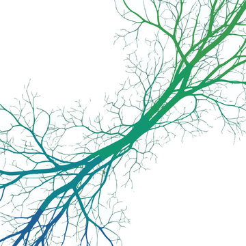 Gradient neural network, colorful brain, neuron connections, synapse vector