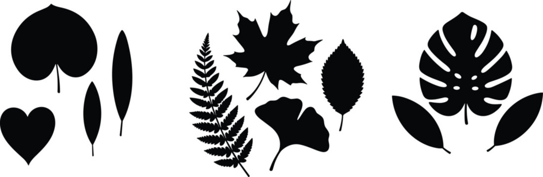 Leaf silhouette vector set, botanical diversity, black foliage shapes, nature theme, plant morphology, artistic design, taxonomy illustration, organic graphic elements