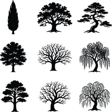 Tree silhouette vector set featuring diverse botanical shapes including coniferous, deciduous, leafless, bonsai, willow tree designs